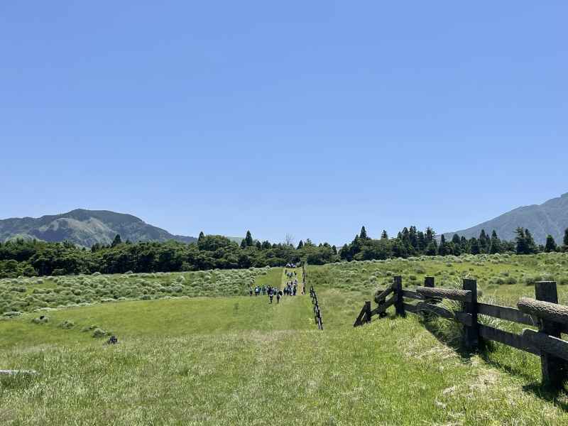 OLロング活動の様子