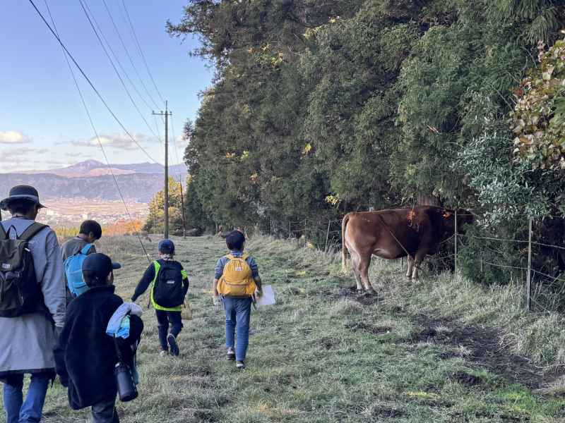 OLミニ活動の様子