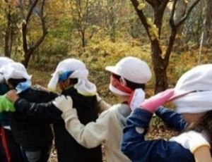 各種自然体験ゲーム