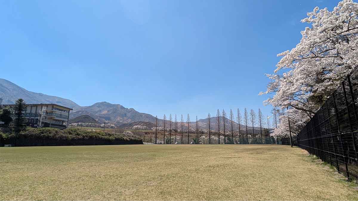 グラウンド写真